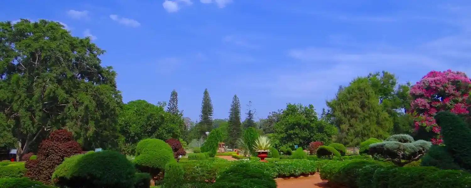 India's Tigers and Nature Trail-1